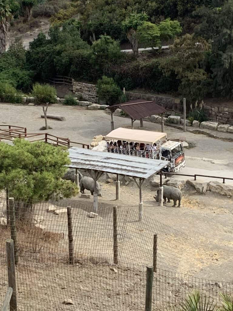 Selwo Aventura - neushoorns