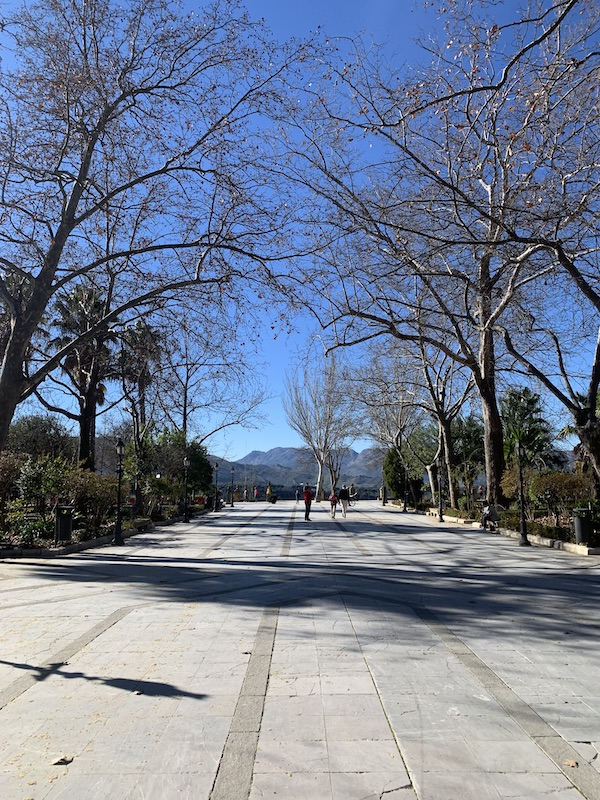 Ronda tips - Alameda del Tajo