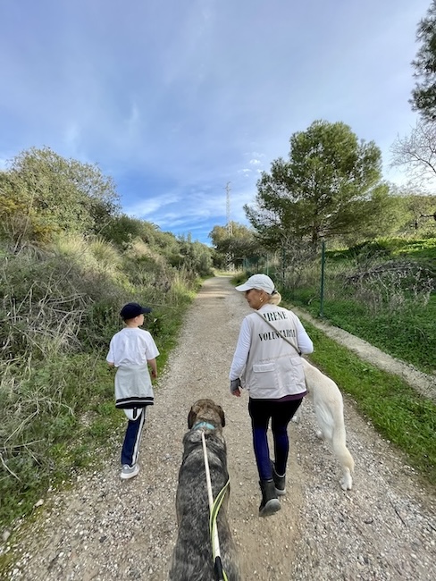 Wandelen met asielhonden Triple A Marbella