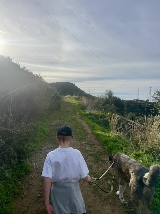 Wandelen met asielhonden Triple A Marbella